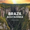 Brazil Acu Fazenda Coffee