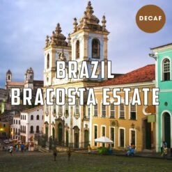 Brazil Decaf Coffee – Bracosta Estate