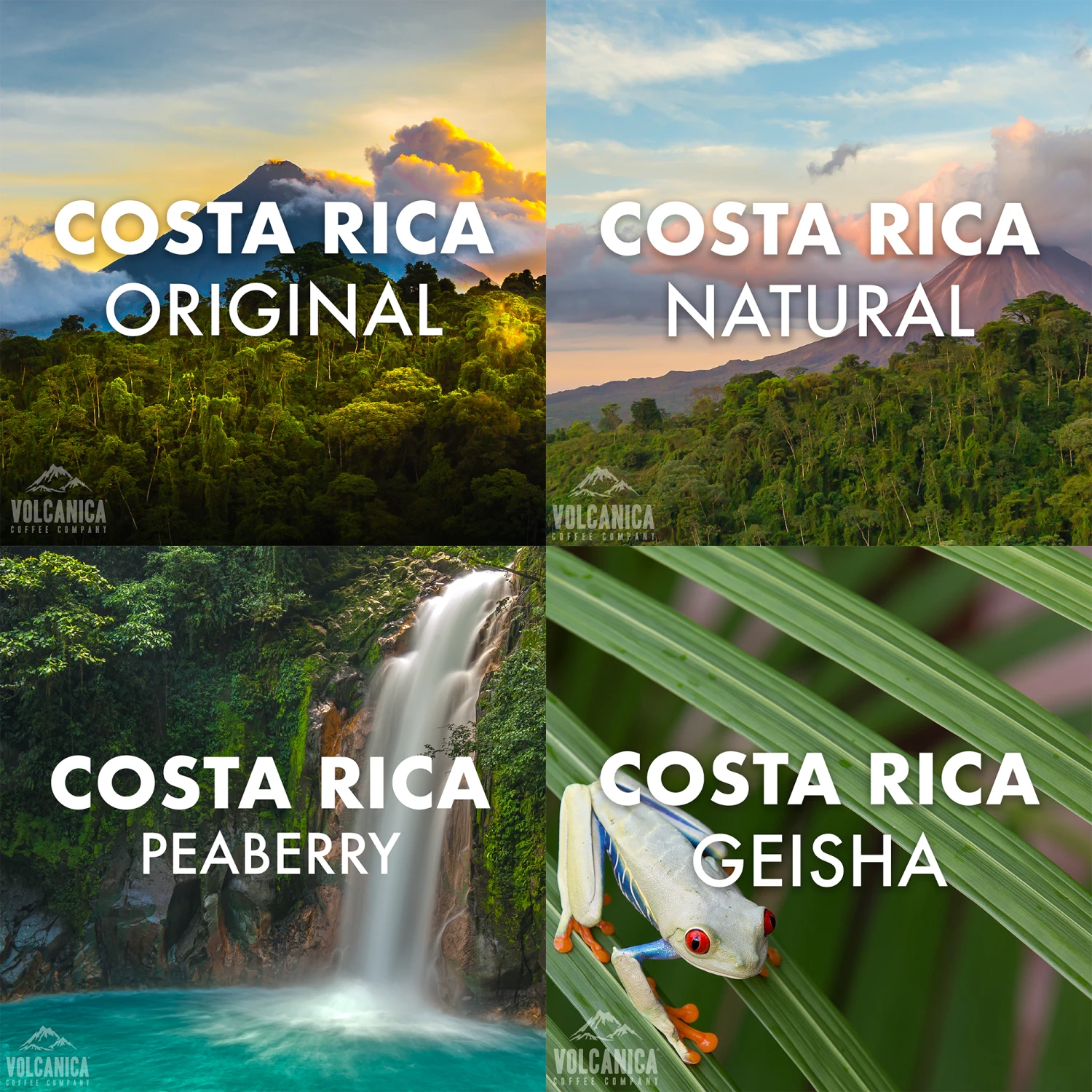 Costa Rican Coffee Gift Box 1 Costa Rican Coffee Gift Box