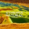 Ethiopia Natural Coffee, Natural Process