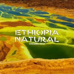 Ethiopia Natural Coffee, Natural Process