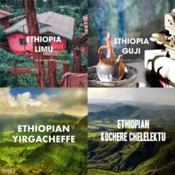 Ethiopian Coffee Gift Box