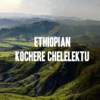 Ethiopian Kochere Chelelektu Coffee