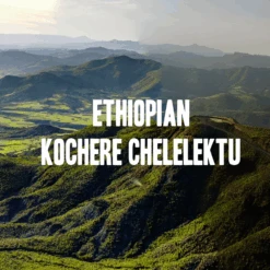 Ethiopian Kochere Chelelektu Coffee