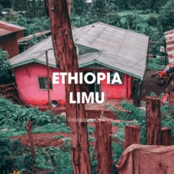 Ethiopian Limu Coffee, Organic