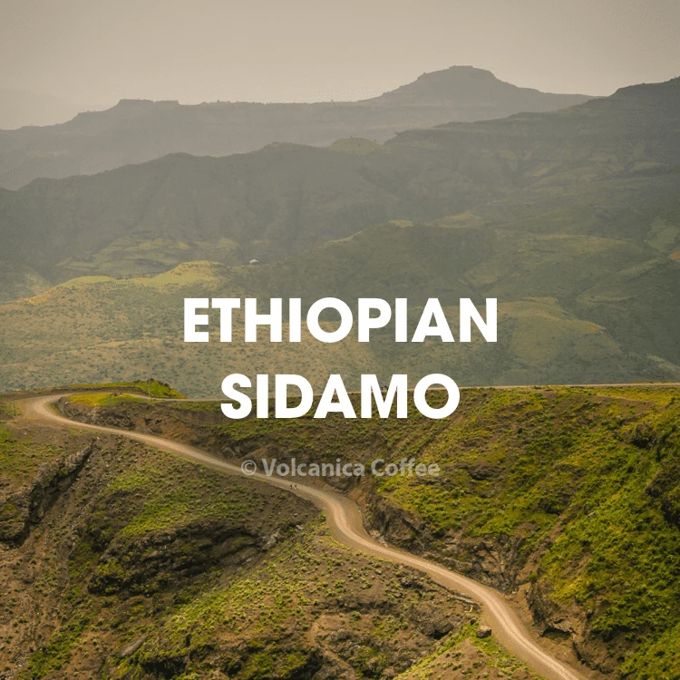 Ethiopian Sidamo Coffee 1 Ethiopian Sidamo Coffee