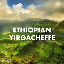 Ethiopian Yirgacheffe Coffee, Organic