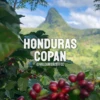 Honduras Coffee Copan