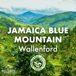 Jamaica Blue Mountain Coffee – Wallenford
