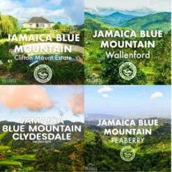 Jamaica Blue Mountains Coffee Roasters Gift Box
