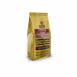 Amor Perfecto Familia Holguin, La Inmaculada