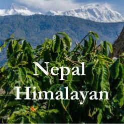Nepal Coffee Himalayan