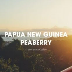 Papua New Guinea Peaberry Coffee