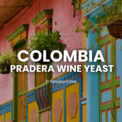 Colombia Wine Yeast Coffee