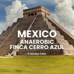 Mexico Anaerobic Finca Cerro Azul Coffee