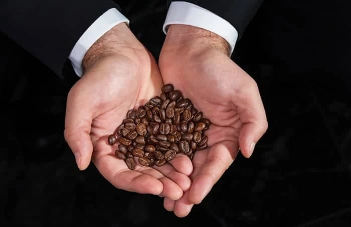 Gayo Kopi Luwak Medium Roast Coffee 100grams 2 Gayo Kopi Luwak Medium Roast Coffee 100grams - Image 2