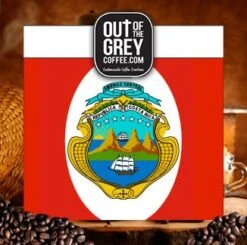 Out Of The Grey Coffee Organic Costa Rican Lomas Al Rio Honey SHB Whole Bean Medium Roast Coffee 12oz