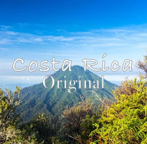 Volcanica Coffee Costa Rica Original Medium Roast 16oz 1 Volcanica Coffee Costa Rica Original Medium Roast 16oz