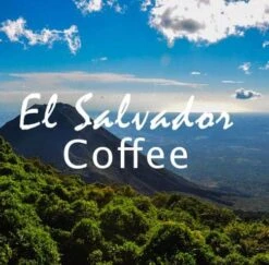 Volcanica Coffee El Salvador Medium Roast Coffee 16oz